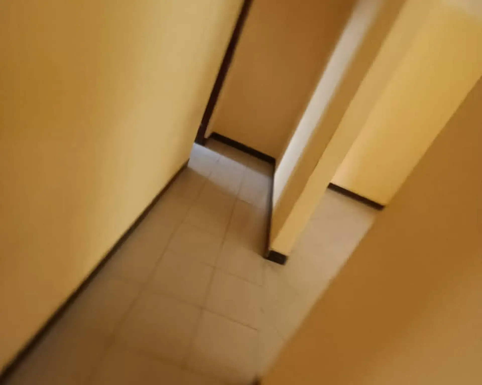 Alphahome Property