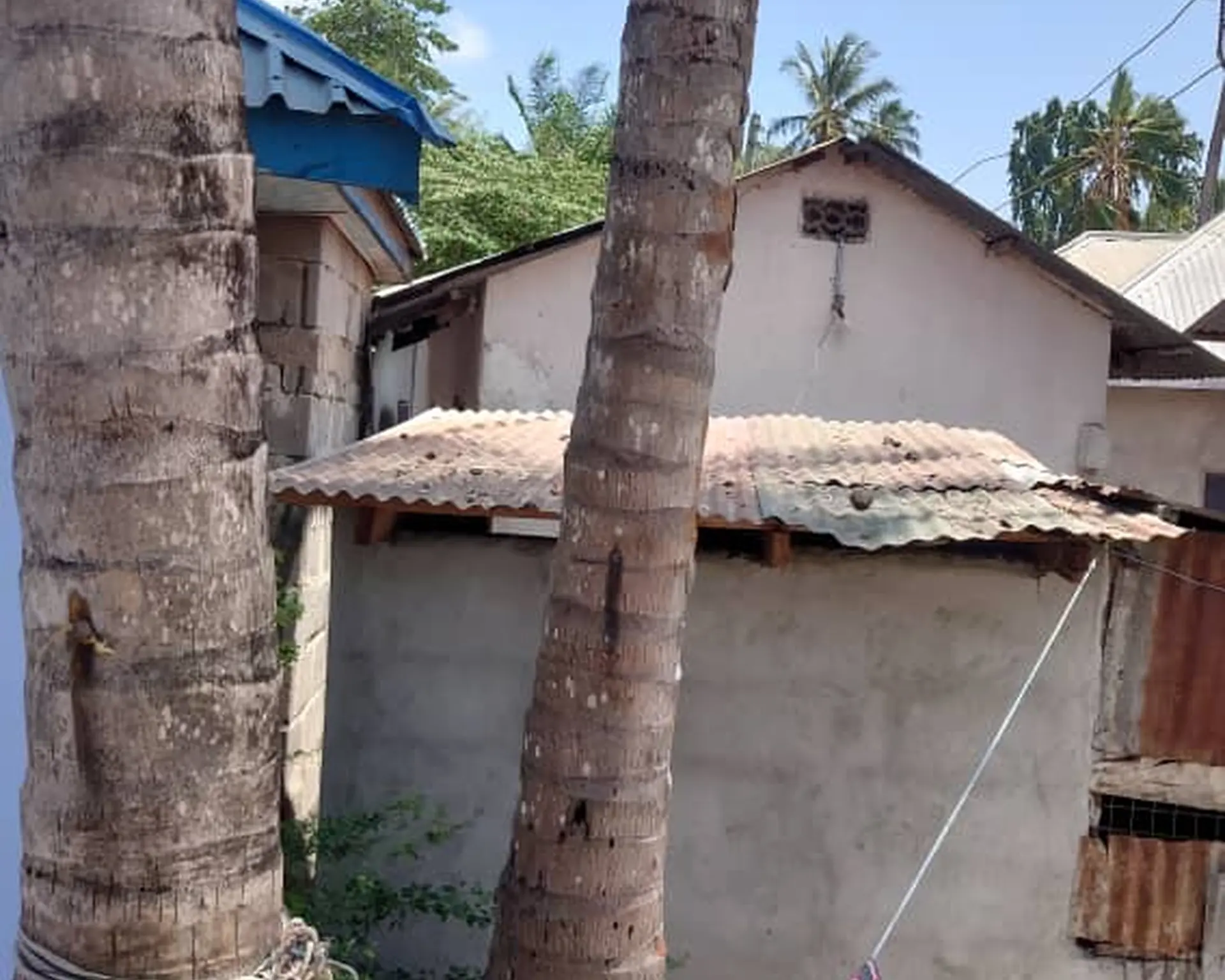 Alphahome Property