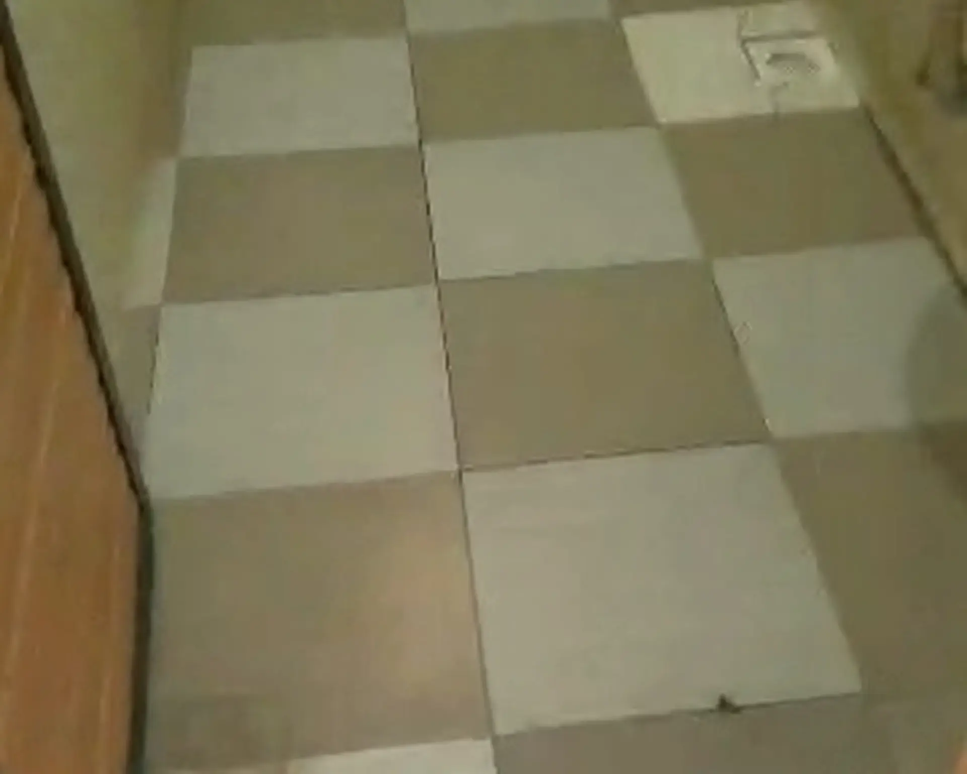 Alphahome Property