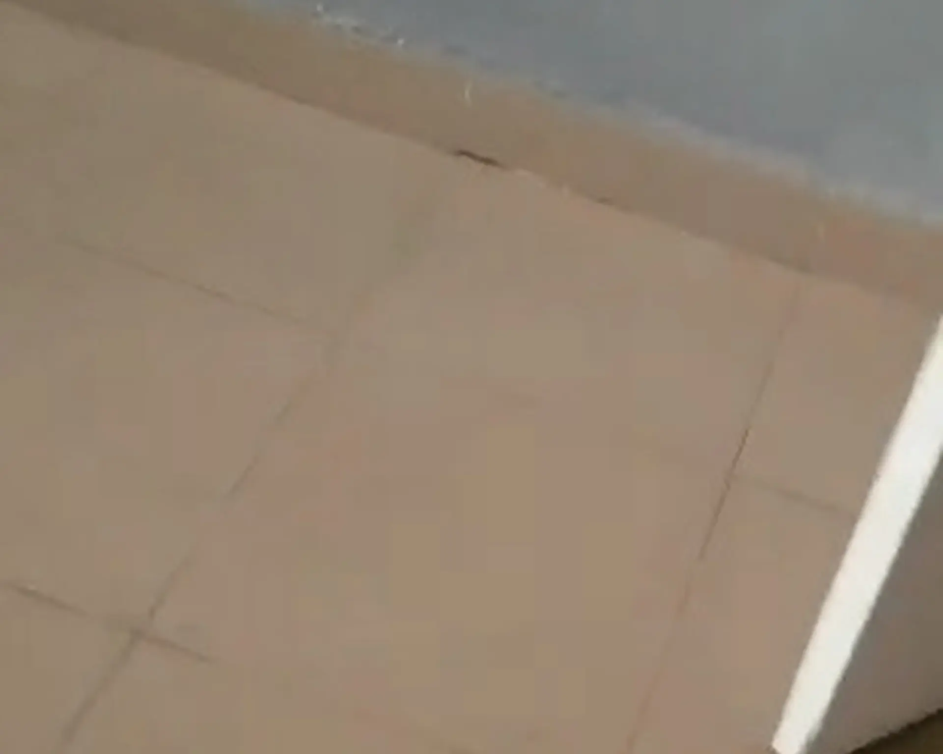 Alphahome Property