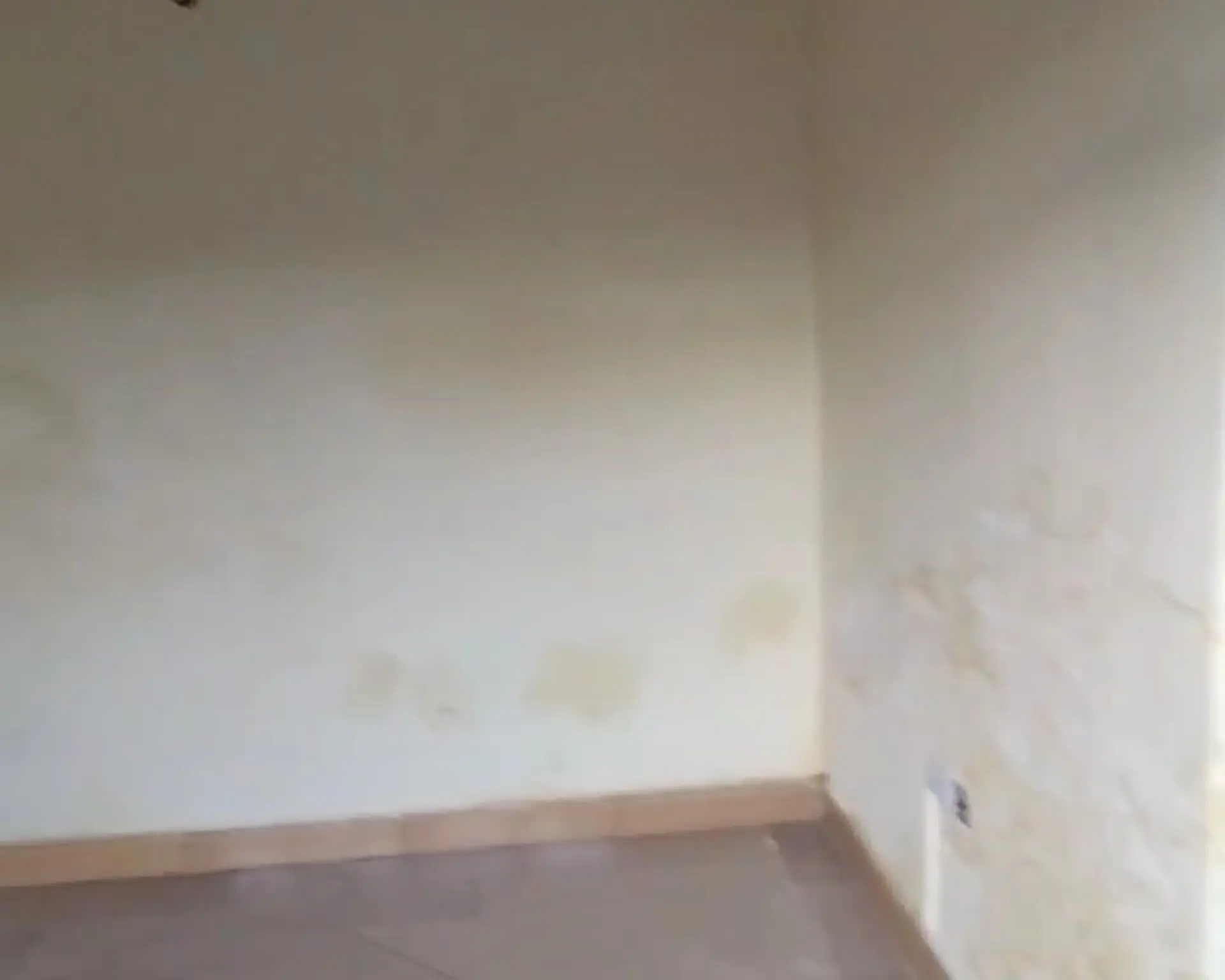 Alphahome Property