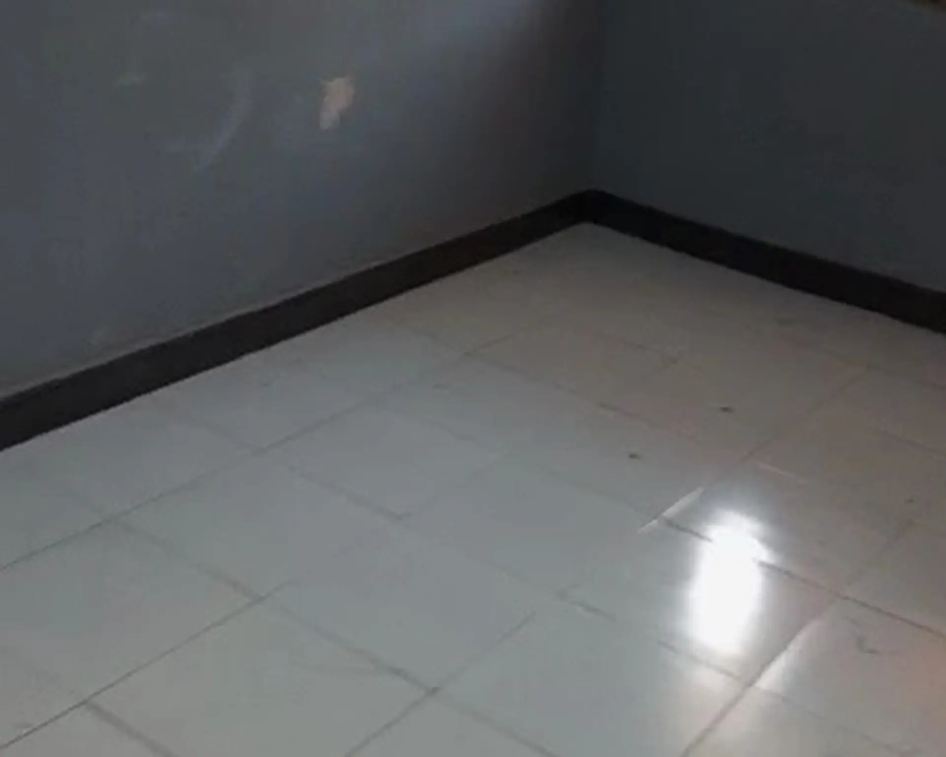 Alphahome Property