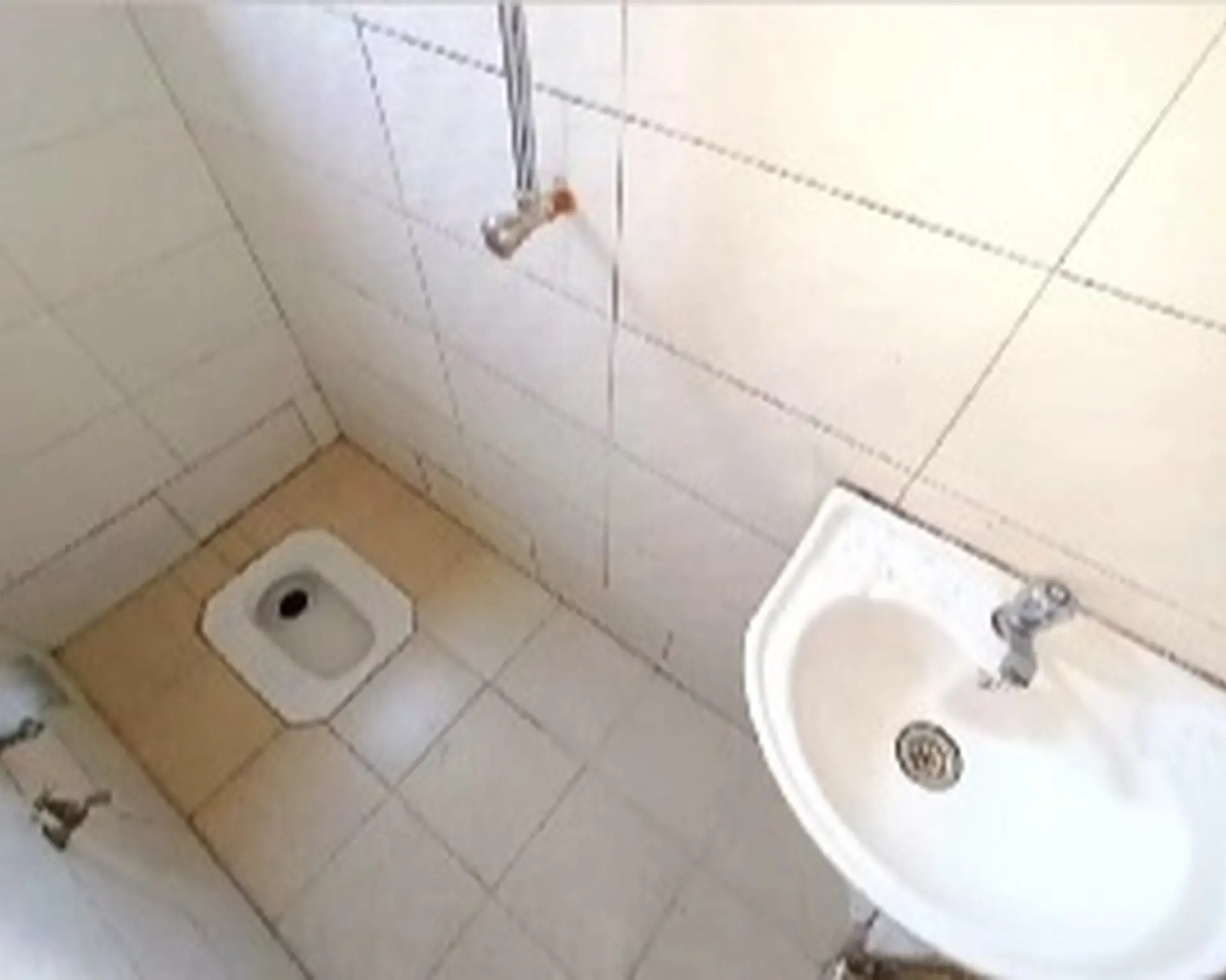 Alphahome Property
