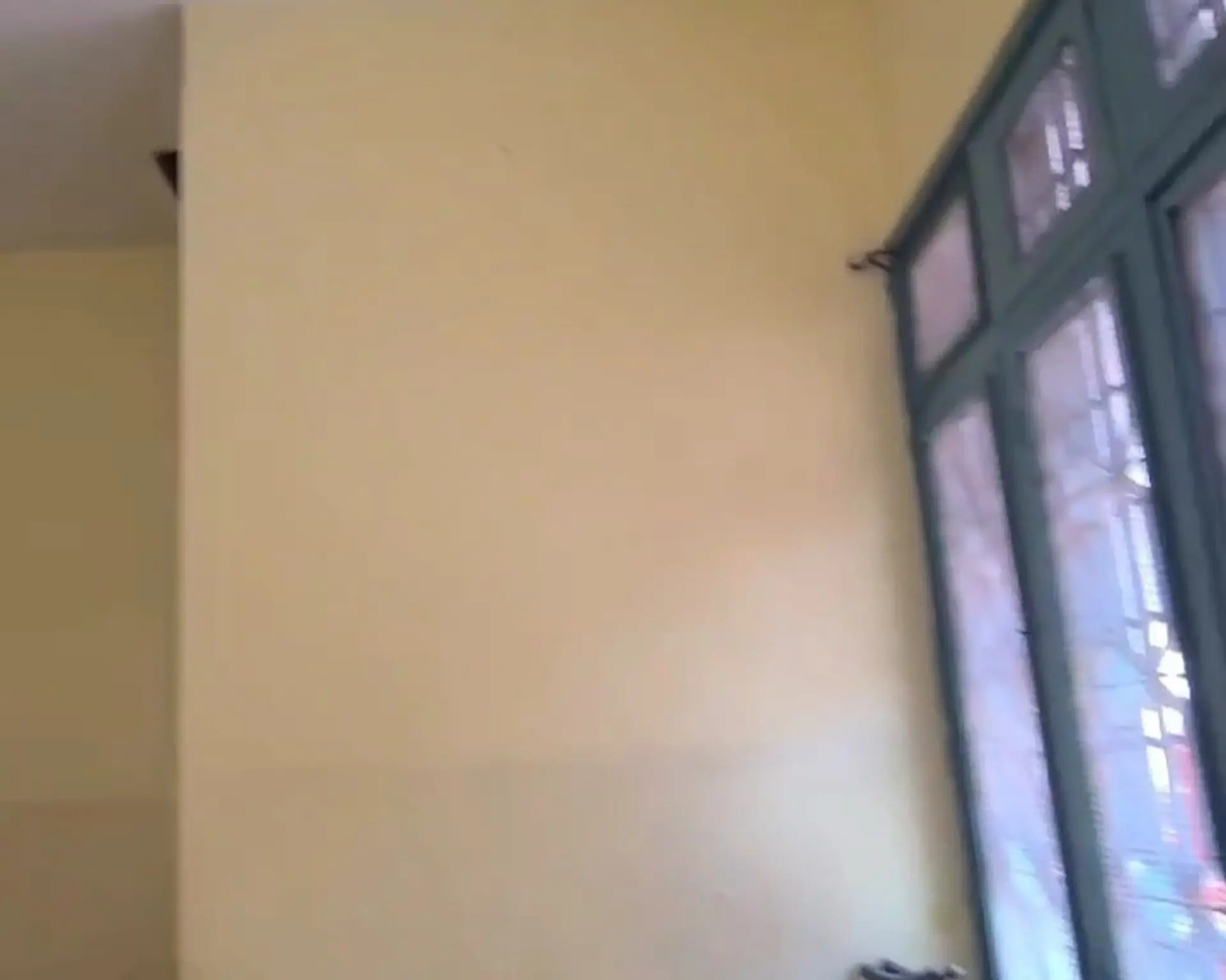 Alphahome Property